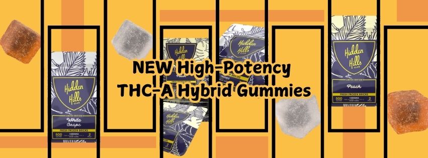 High Potency THC A Hybrid Gummies c8077fad 031b 455a b90e 2189664e955a