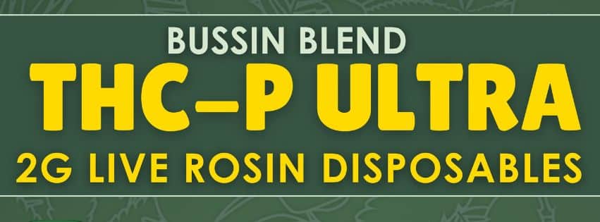 thc p bussin blend disposables